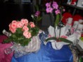 /album/novidades/sam-1732-jpg/